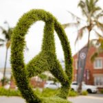 IMG-20170823-WA0008_resized_20180510_053112011 IMG-20170823-WA0008_resized_20180510_053112011