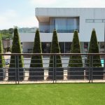 IMG_20180118_120108_resized_20180502_044354847 (002) IMG_20180118_120108_resized_20180502_044354847 (002)