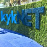 Topiary Green KykNet wall Topiary Green KykNet wall