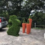 Easter bunny and carrots Easter bunny and carrots