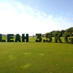 Letter announcement on golfcourse Leah 3.5kg Letter announcement on golfcourse Leah 3.5kg