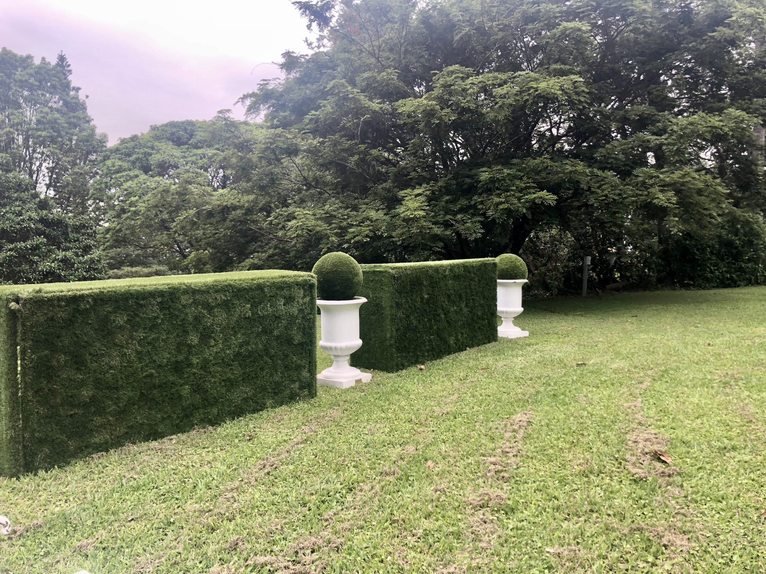 hedge box white urns spheres side view hedge box white urns spheres side view